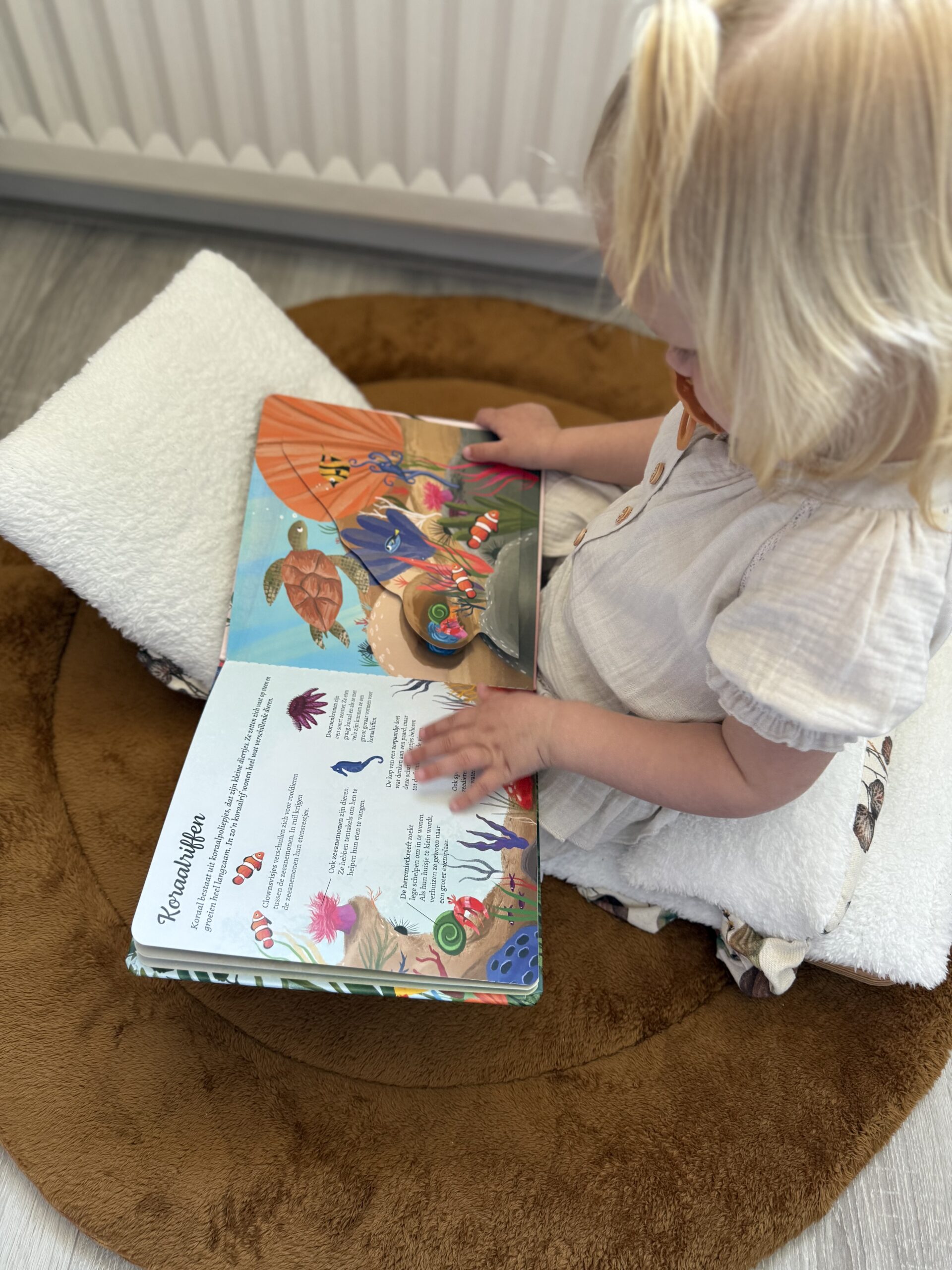 Peuter zit op een zacht kussen en bladert geconcentreerd door het kleurrijke flapjesboek Ik ontdek de natuur.