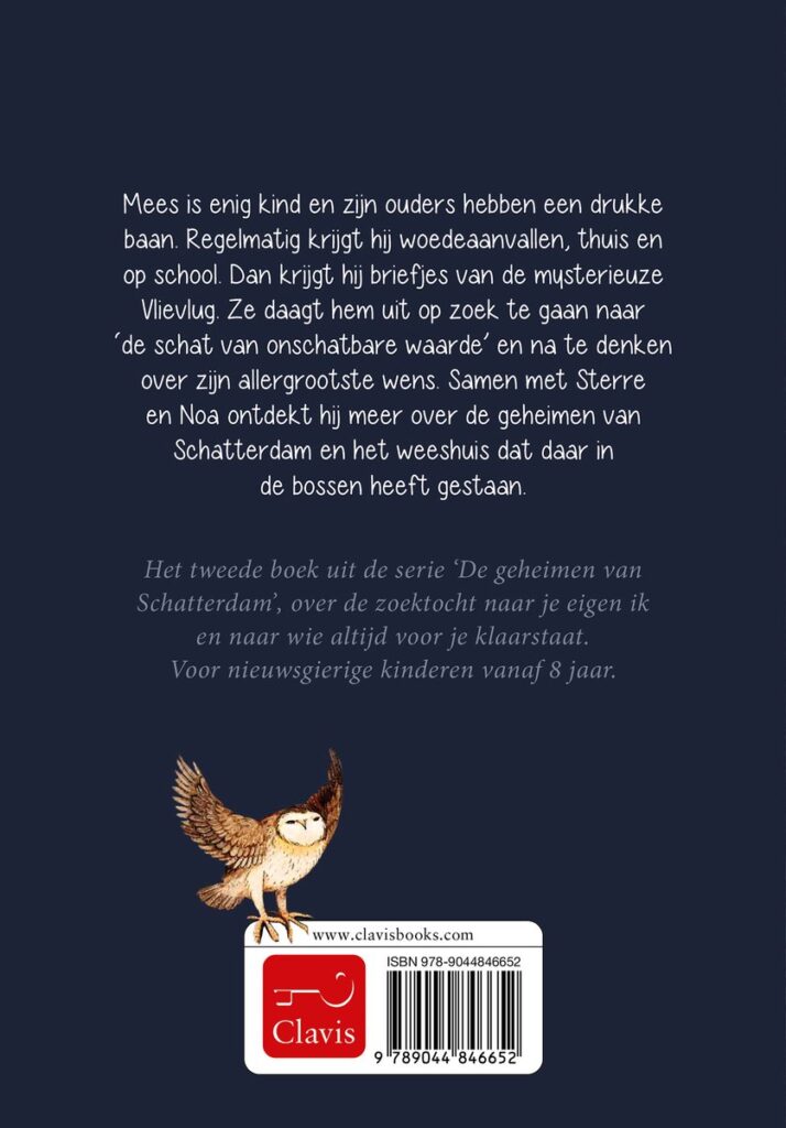 De geheimen van Schatterdam 2 - Vlievlug